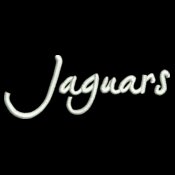 324 Jaguars3 5w