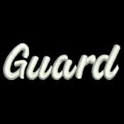 L12a_Leggings2.75W_Guard_BookScript